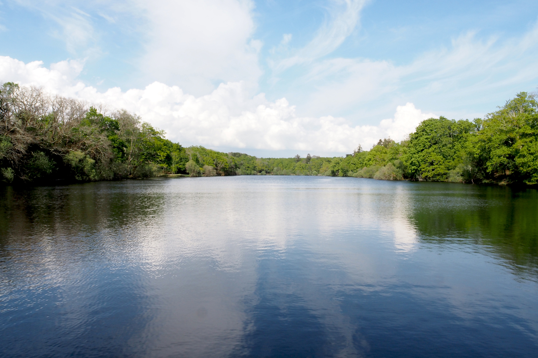 Lac de Savenay