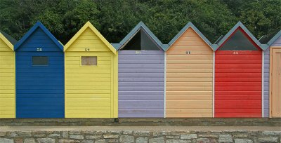 <p>L'Ile Aux Moines (Voir la rubrique Reportages <a href='https://patcatnats.fr/spip.php?article284' class="spip_in">"Belle Ile en Mer "</a>)</p>