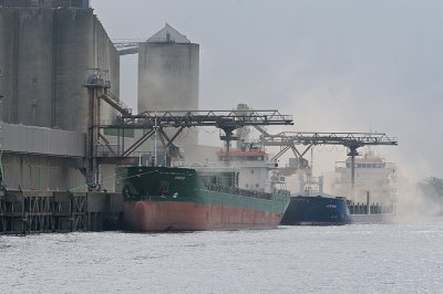 <p>Quais de Nantes (Voir rubrique Reportages <a href='https://patcatnats.fr/spip.php?article170' class="spip_in">"Au fil de l'eau "</a></p>