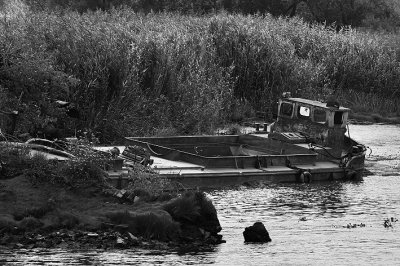 <p>Sur la Loire (Voir rubrique Reportages <a href='https://patcatnats.fr/spip.php?article170' class="spip_in">"Au fil de l'eau "</a></p>