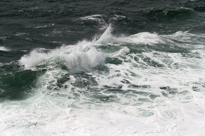 © Patrice Morel (20080705-7712)